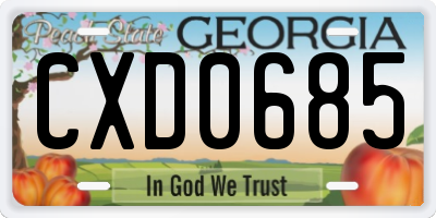 GA license plate CXD0685