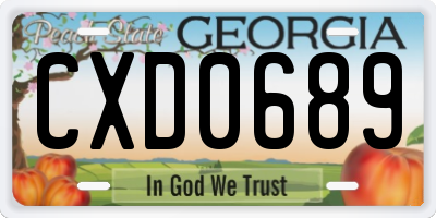 GA license plate CXD0689