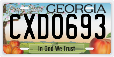 GA license plate CXD0693