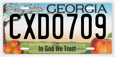 GA license plate CXD0709