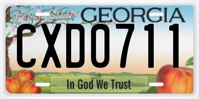 GA license plate CXD0711