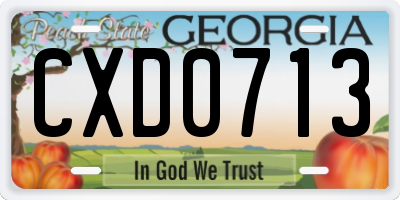 GA license plate CXD0713