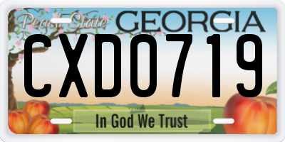 GA license plate CXD0719