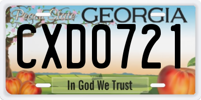 GA license plate CXD0721