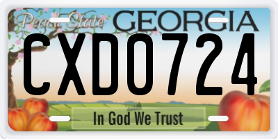 GA license plate CXD0724