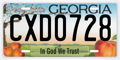 GA license plate CXD0728