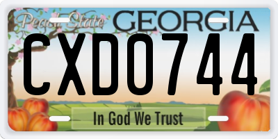 GA license plate CXD0744