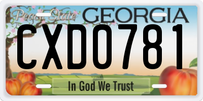 GA license plate CXD0781
