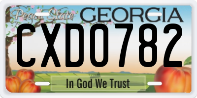GA license plate CXD0782