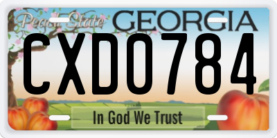 GA license plate CXD0784