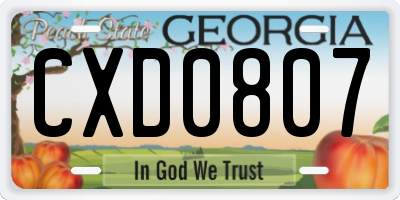 GA license plate CXD0807