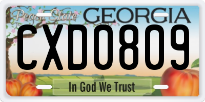 GA license plate CXD0809