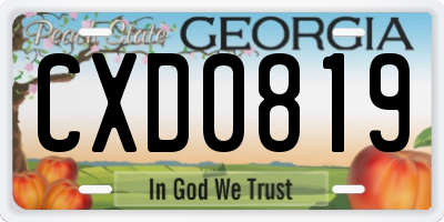 GA license plate CXD0819