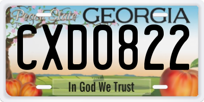 GA license plate CXD0822