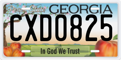 GA license plate CXD0825