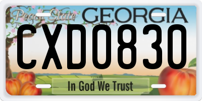 GA license plate CXD0830