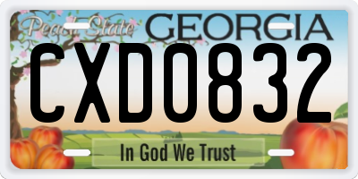 GA license plate CXD0832