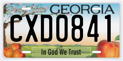 GA license plate CXD0841