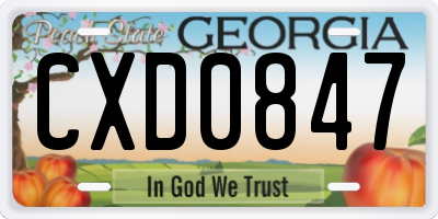 GA license plate CXD0847