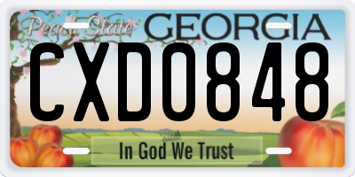GA license plate CXD0848