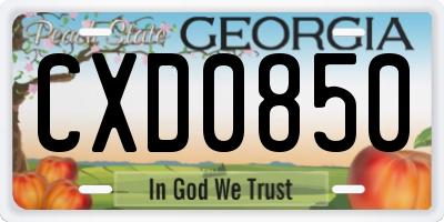 GA license plate CXD0850
