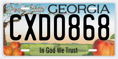 GA license plate CXD0868