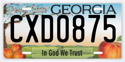 GA license plate CXD0875