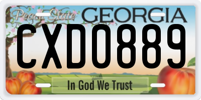 GA license plate CXD0889