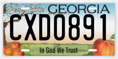 GA license plate CXD0891