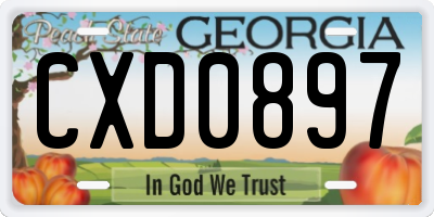 GA license plate CXD0897