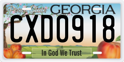GA license plate CXD0918