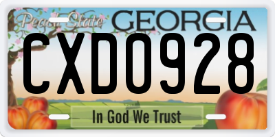 GA license plate CXD0928
