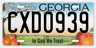 GA license plate CXD0939
