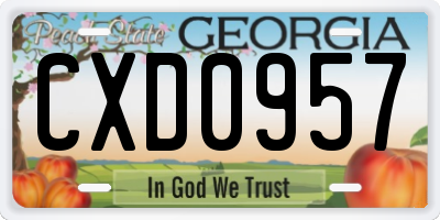 GA license plate CXD0957