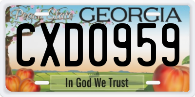 GA license plate CXD0959