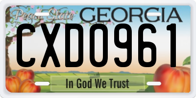 GA license plate CXD0961