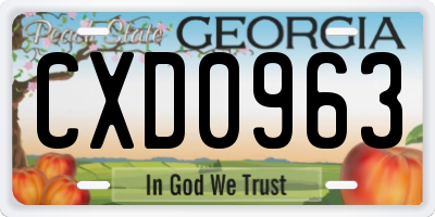 GA license plate CXD0963
