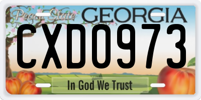 GA license plate CXD0973