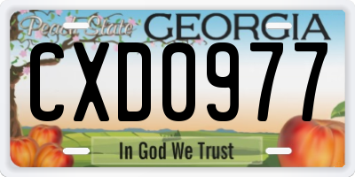 GA license plate CXD0977