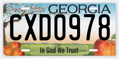 GA license plate CXD0978