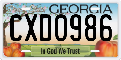 GA license plate CXD0986