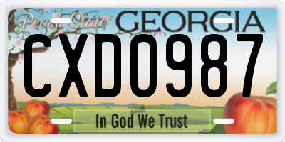 GA license plate CXD0987