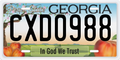 GA license plate CXD0988