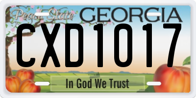 GA license plate CXD1017