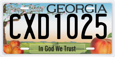 GA license plate CXD1025