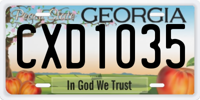 GA license plate CXD1035