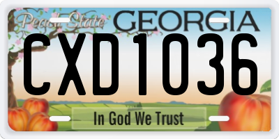 GA license plate CXD1036