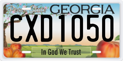GA license plate CXD1050