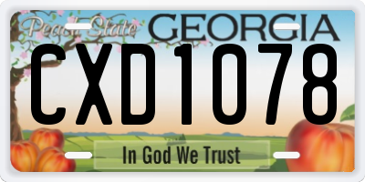 GA license plate CXD1078