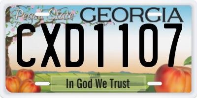 GA license plate CXD1107